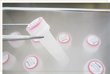 活性＜生＞プラセンタ