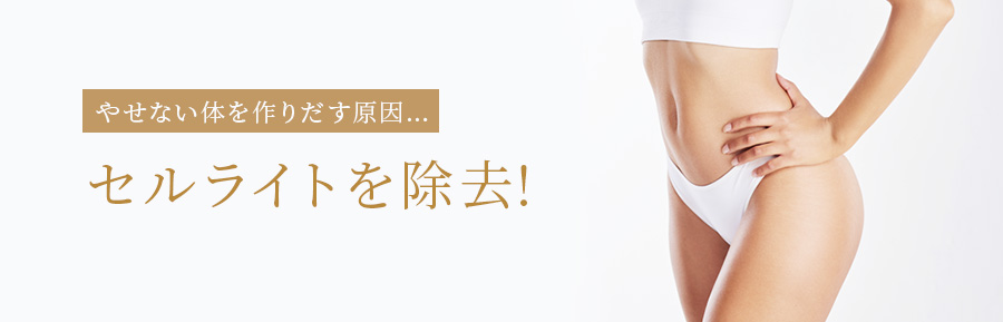 痩せない体を作りだす原因⋯セルライトを除去!